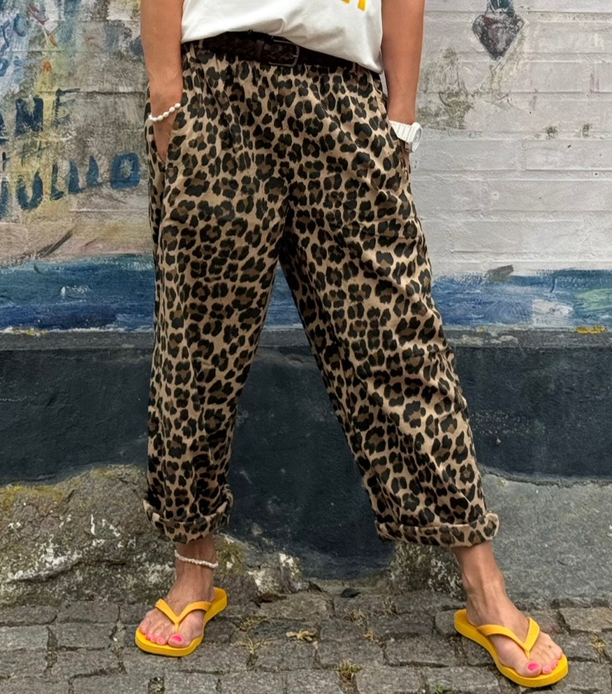 Animalie Pants - Camel