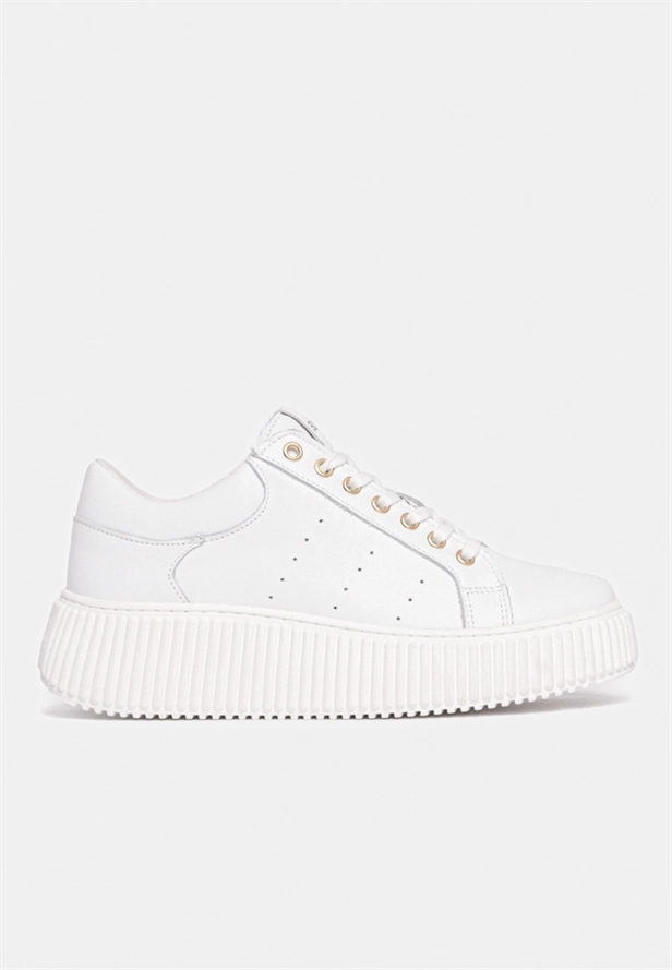 Court Sneakers - White