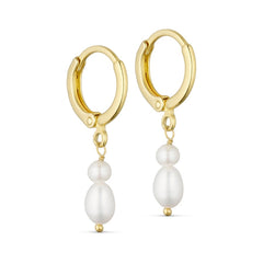 Merle Creoles - Guld