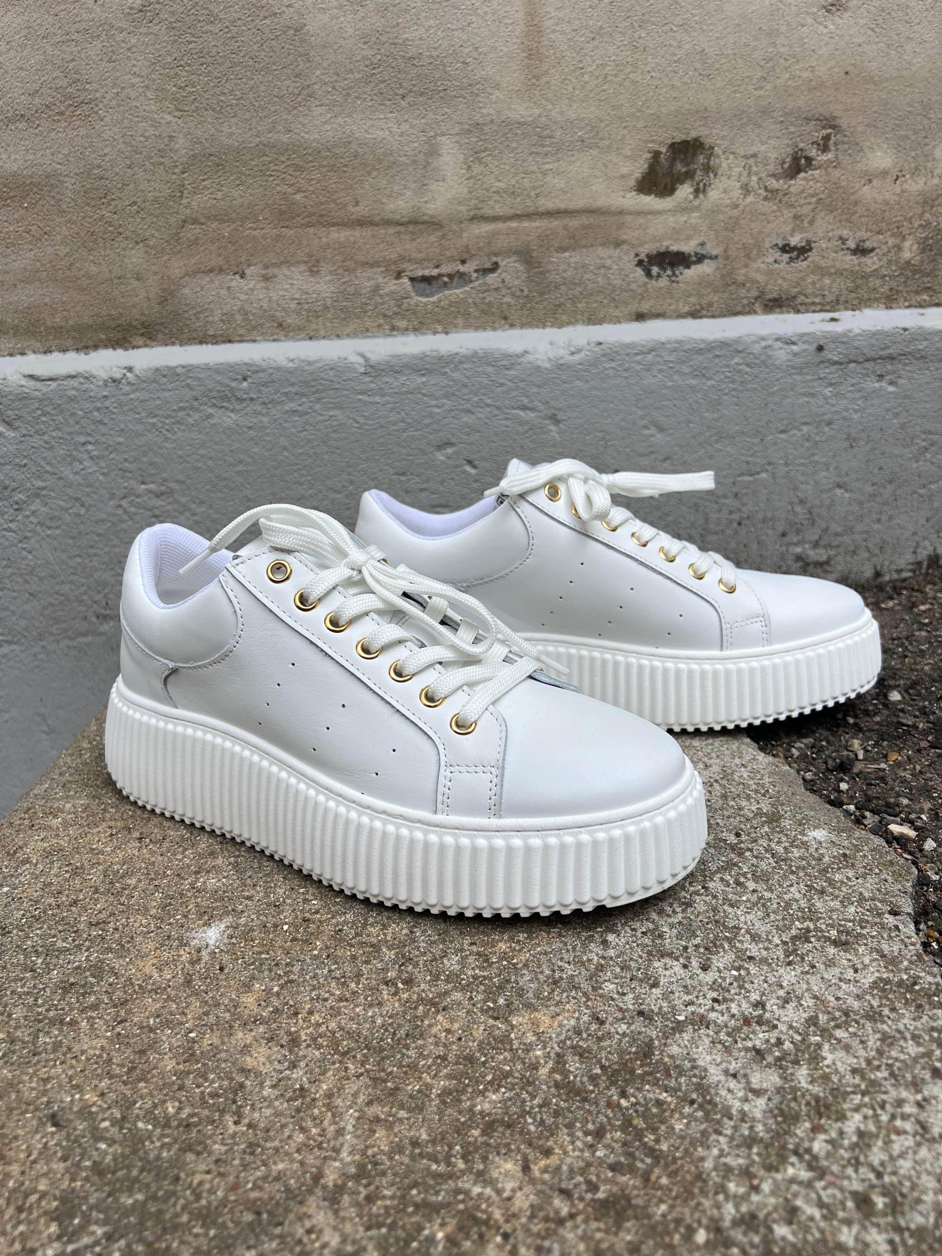 Court Sneakers - White