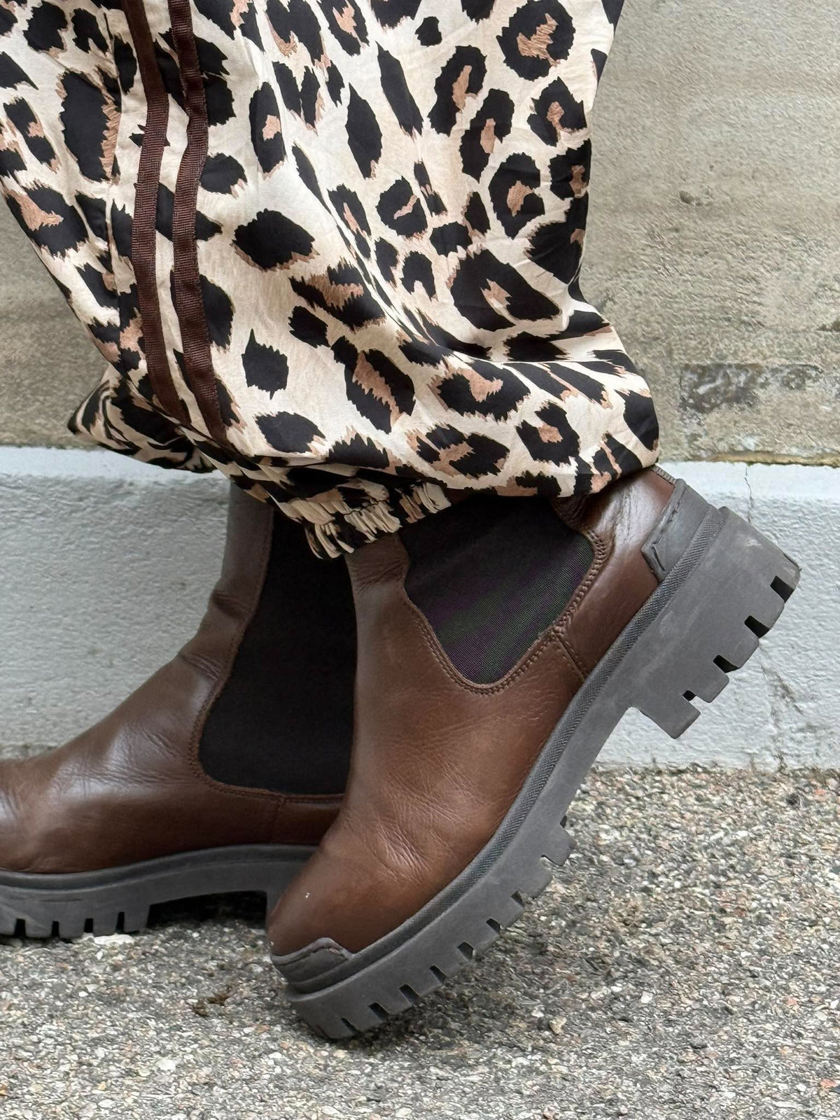 Leopard Pants - Leopard