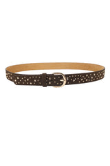 Suede Belt W Gold Studs - Marron
